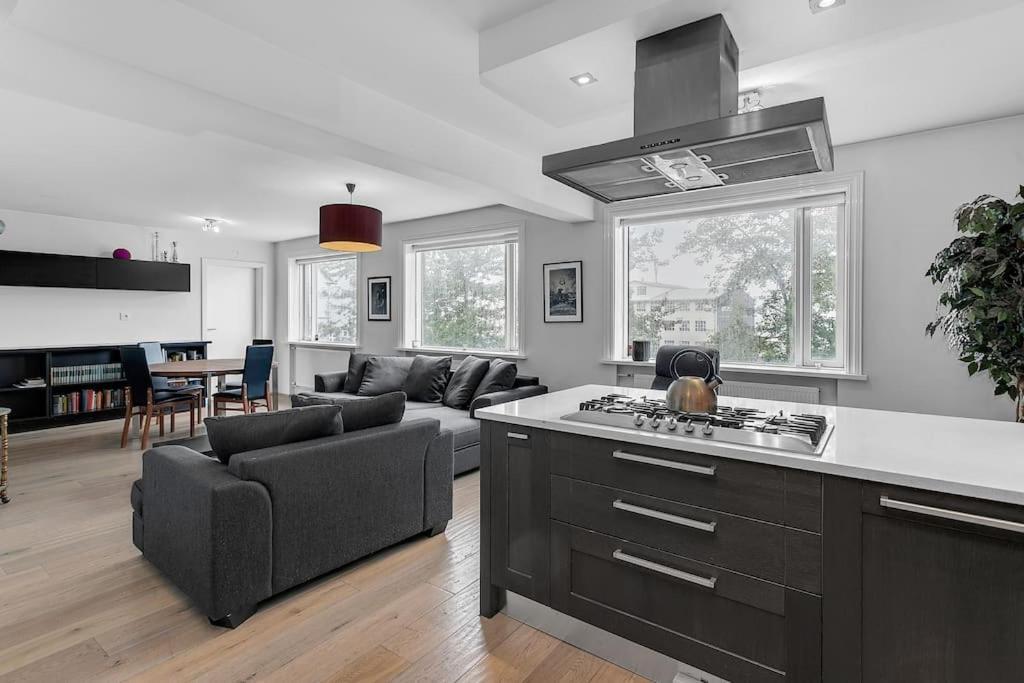 Central Reykjavik Apartment Екстериор снимка